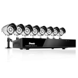 8CH H.264 DVR with 500GB HDD & 8 Sony CCD 420TVL 24 IR LEDs Outdoor Security Cameras 